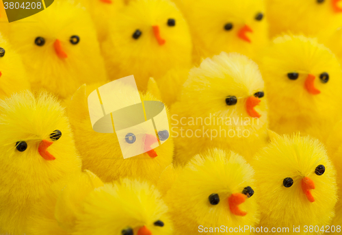 Image of Abundance of easter chicks, selective focus