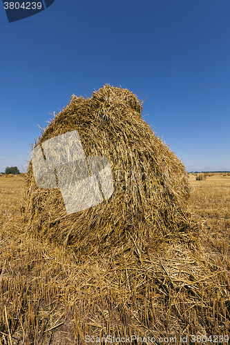 Image of stack of straw in the field  