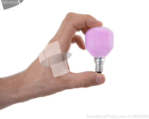 Image of Hand holding an light bulb 