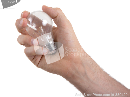 Image of Hand holding an light bulb 