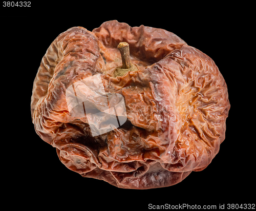 Image of dry rotten apple