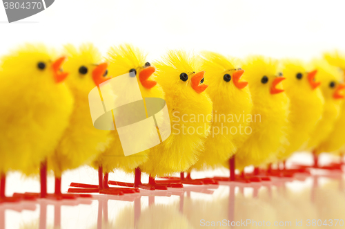 Image of Abundance of easter chicks, selective focus