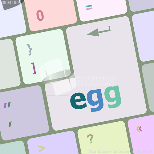 Image of egg word on computer pc keyboard key vector illustration
