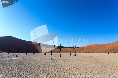 Image of Hidden Vlei in Namib desert 