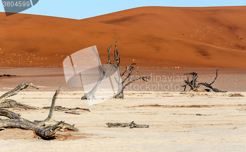 Image of Hidden Vlei in Namib desert 