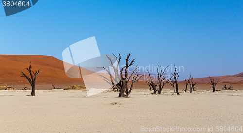 Image of Hidden Vlei in Namib desert 