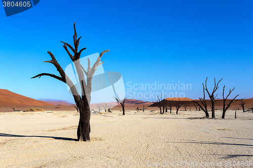 Image of Hidden Vlei in Namib desert 