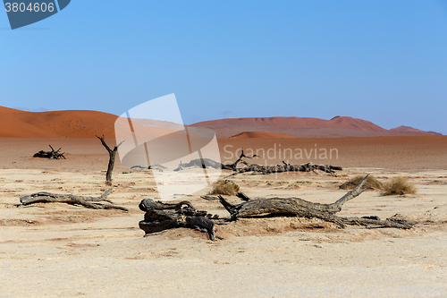 Image of Hidden Vlei in Namib desert 