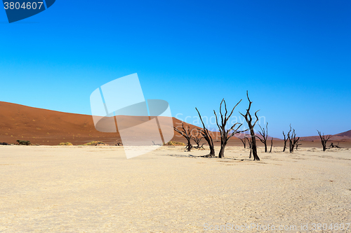 Image of Hidden Vlei in Namib desert 