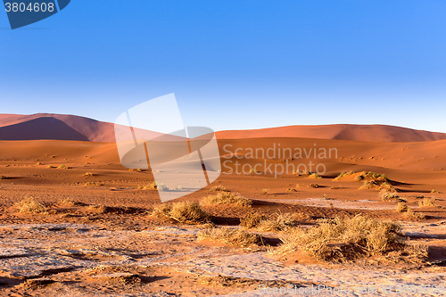 Image of Hidden Vlei in Namib desert 