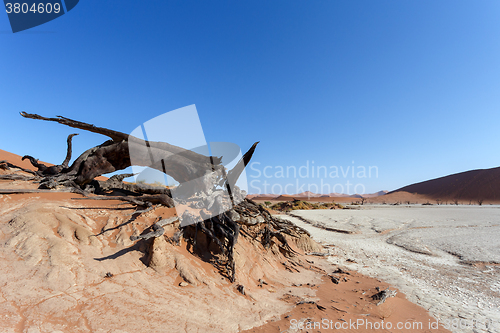 Image of Hidden Vlei in Namib desert 