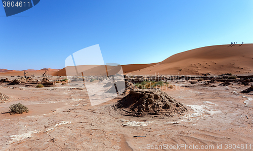 Image of Dune in Hidden Vlei in Namib desert 