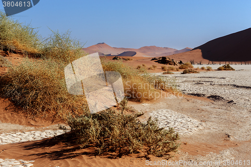 Image of Hidden Vlei in Namib desert 