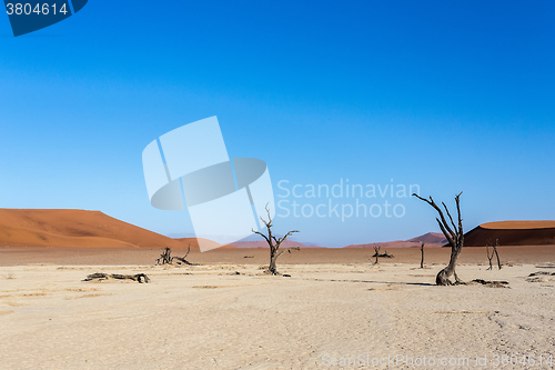 Image of Hidden Vlei in Namib desert 