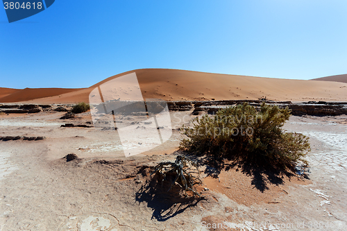 Image of Dune in Hidden Vlei in Namib desert 