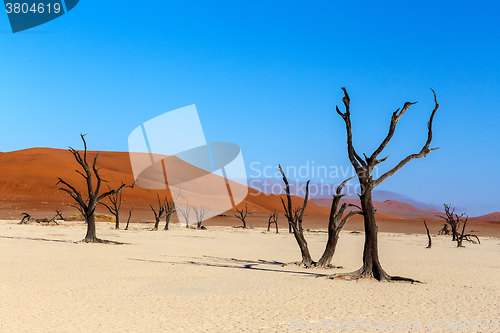 Image of Hidden Vlei in Namib desert 