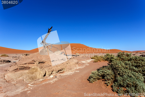 Image of Hidden Vlei in Namib desert 