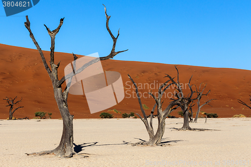 Image of Hidden Vlei in Namib desert 