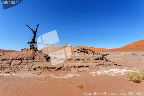 Image of Hidden Vlei in Namib desert 