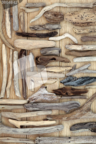 Image of Driftwood  