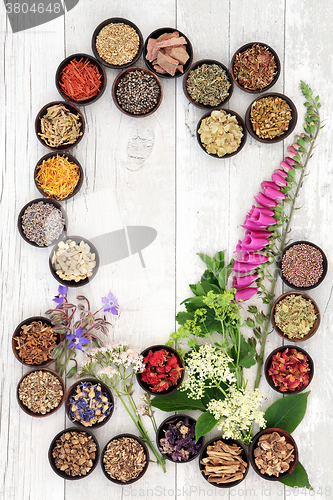 Image of Naturopathic Medicine