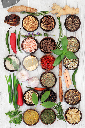 Image of Culinary Herbs and Spices 