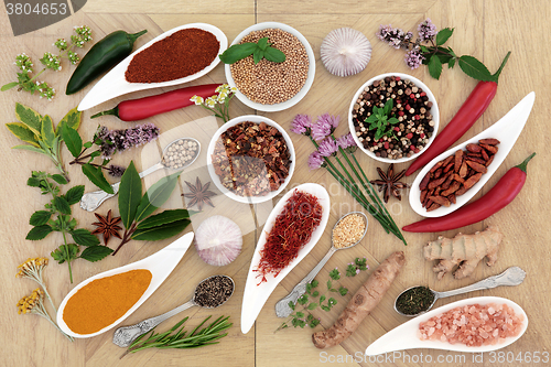 Image of Healthy Herb and Spice Collection