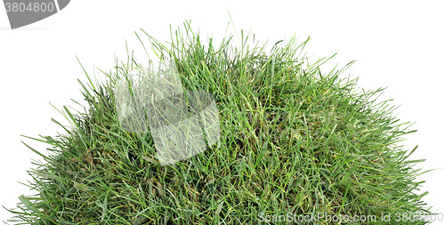 Image of Grassy Tumulus Hill