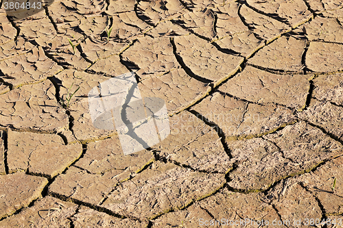 Image of cracked earth field  