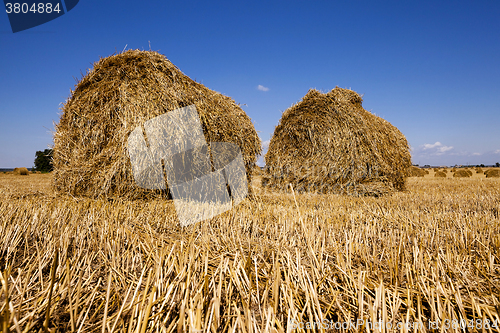 Image of stack of straw in the field 
