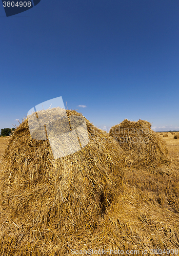 Image of haystacks straw  . summer
