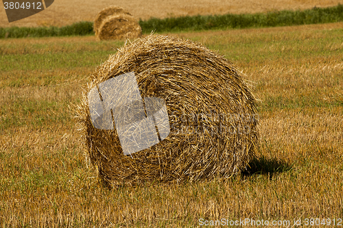 Image of hay bale close-up  