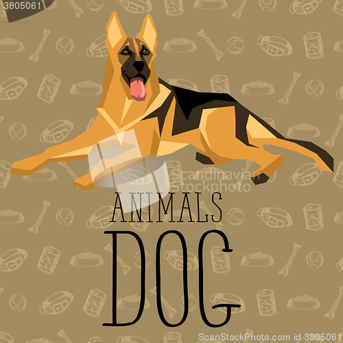 Image of Vector Dogs Collection