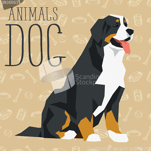 Image of Vector Dogs Collection