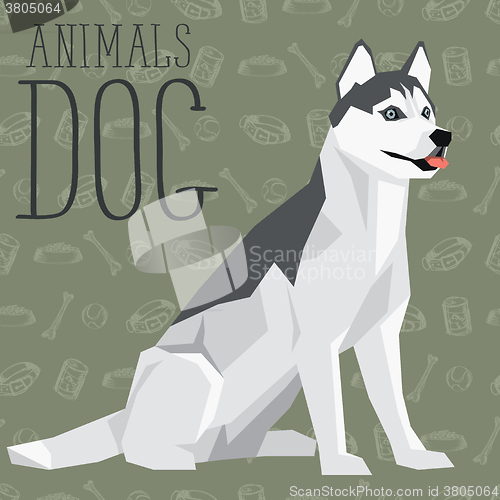 Image of Vector Dogs Collection