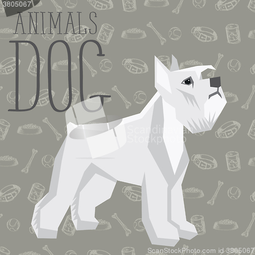 Image of Vector Dogs Collection