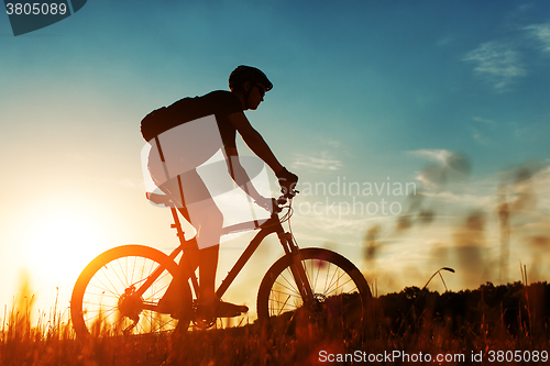 Image of Rider on Mountain Bicycle it the field