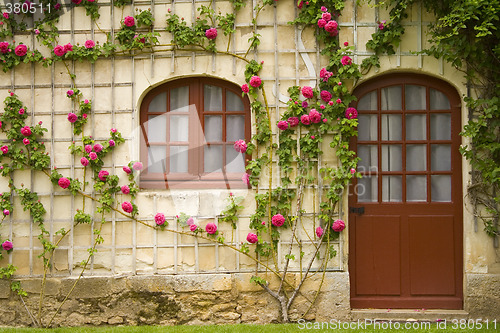 Image of Flower House