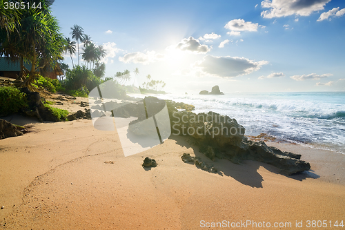 Image of Stones on tropical beach