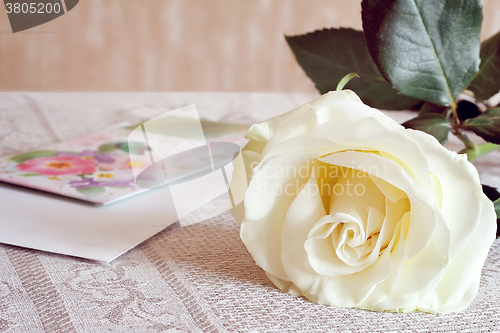 Image of White rose and a letter of congratulation.