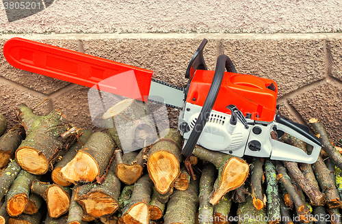 Image of Chainsaw and cut tree branches.