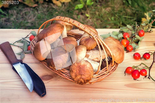 Image of White strong mushrooms in a basket on the table surface