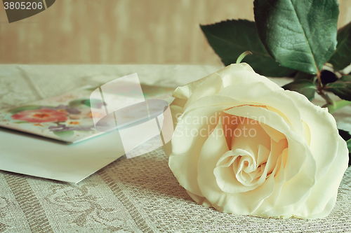 Image of White rose and a letter of congratulation.