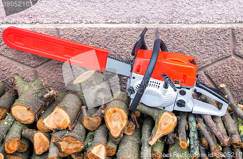 Image of Chainsaw and cut tree branches.