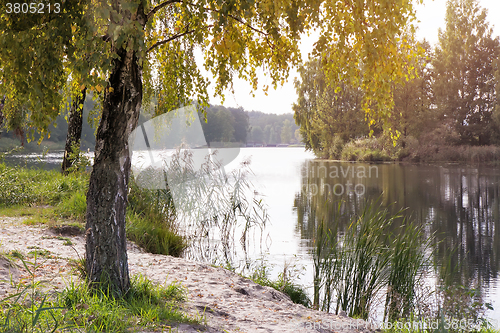 Image of Landscape with the image of the river and the surrounding nature