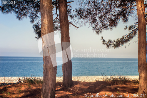 Image of Landscape with sea views. Pitsunda, Abkhazia.