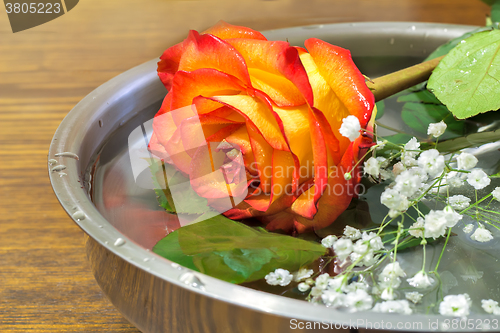 Image of Beautiful rose on the surface of the vessel with water.