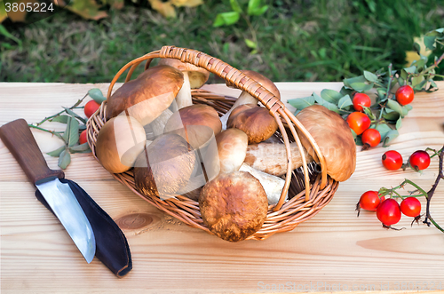 Image of White strong mushrooms in a basket on the table surface