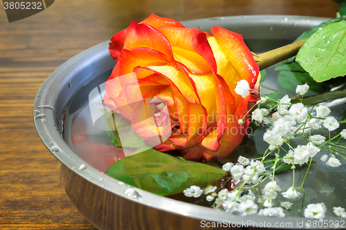 Image of Beautiful rose on the surface of the vessel with water.