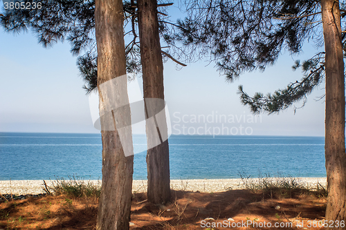 Image of Landscape with sea views. Pitsunda, Abkhazia.